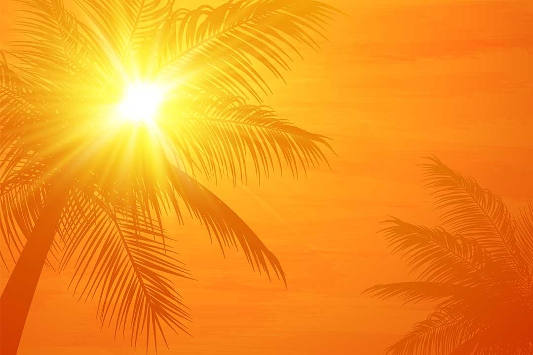 Sun Protection