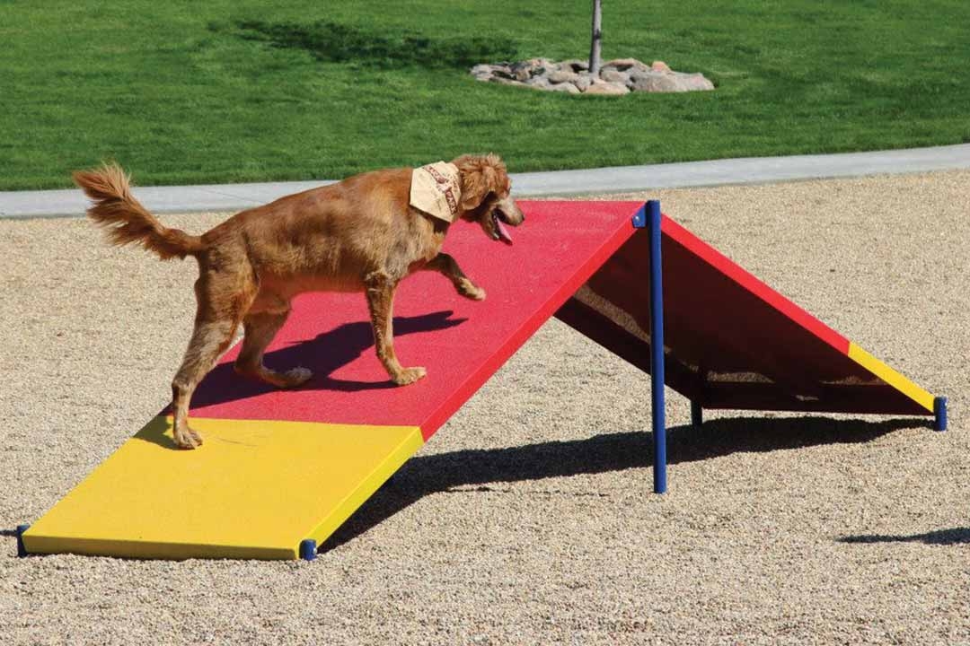 Learn About Your Playground Amenities