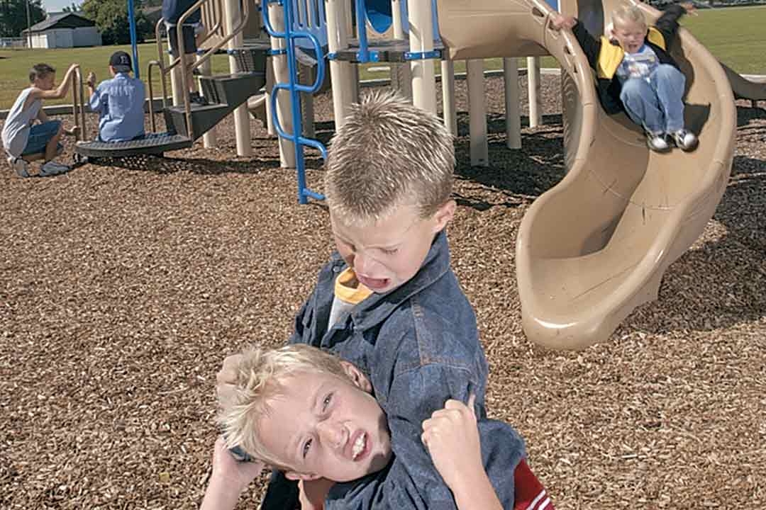 Bullying on the Playground