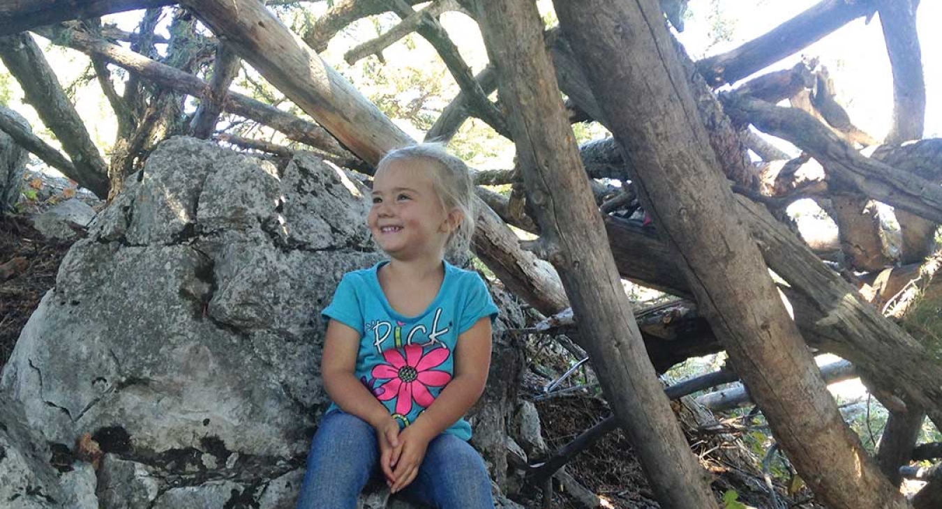 The Nature of Play