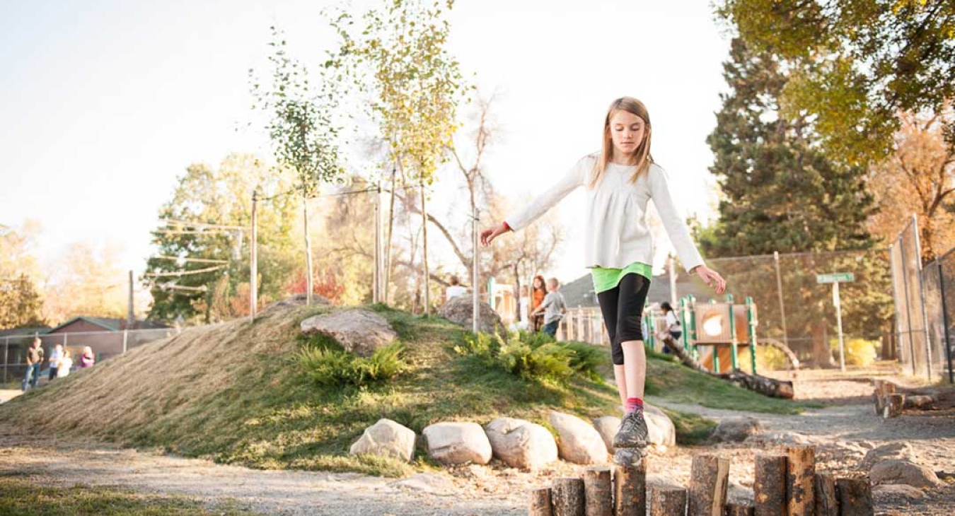 The Nature of Play