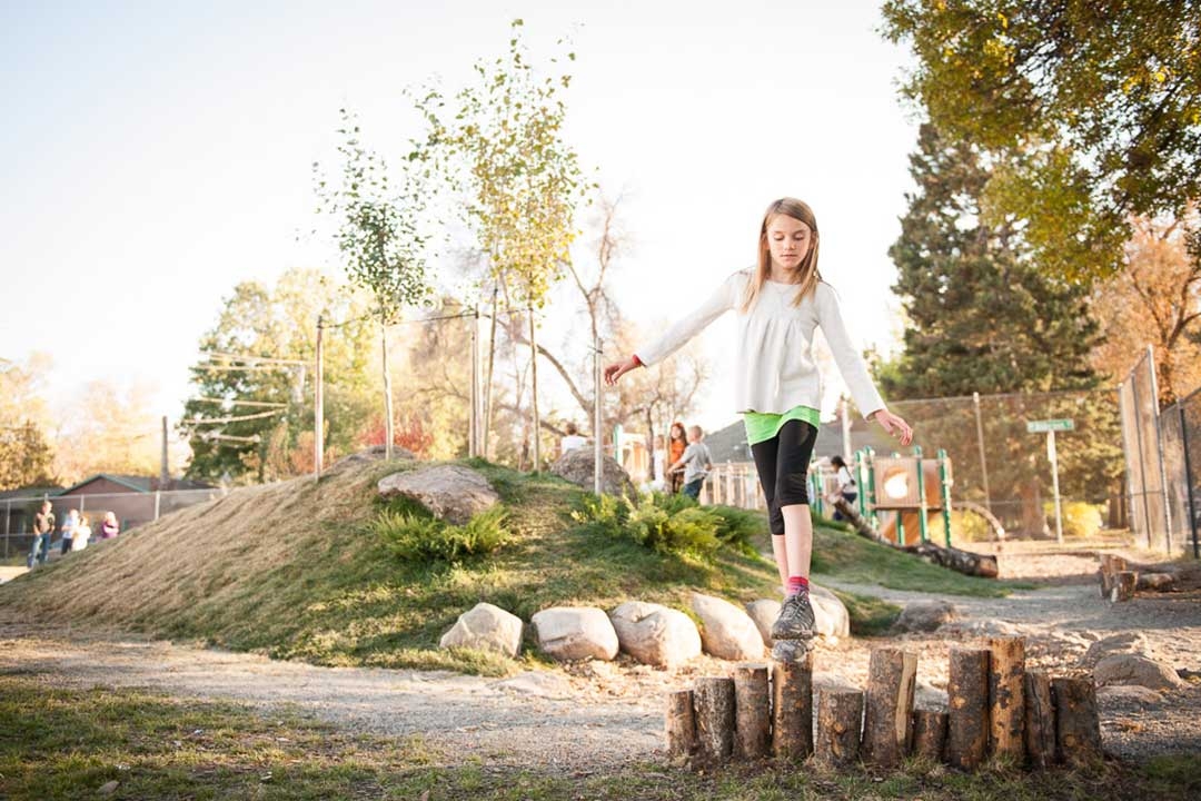 The Nature of Play