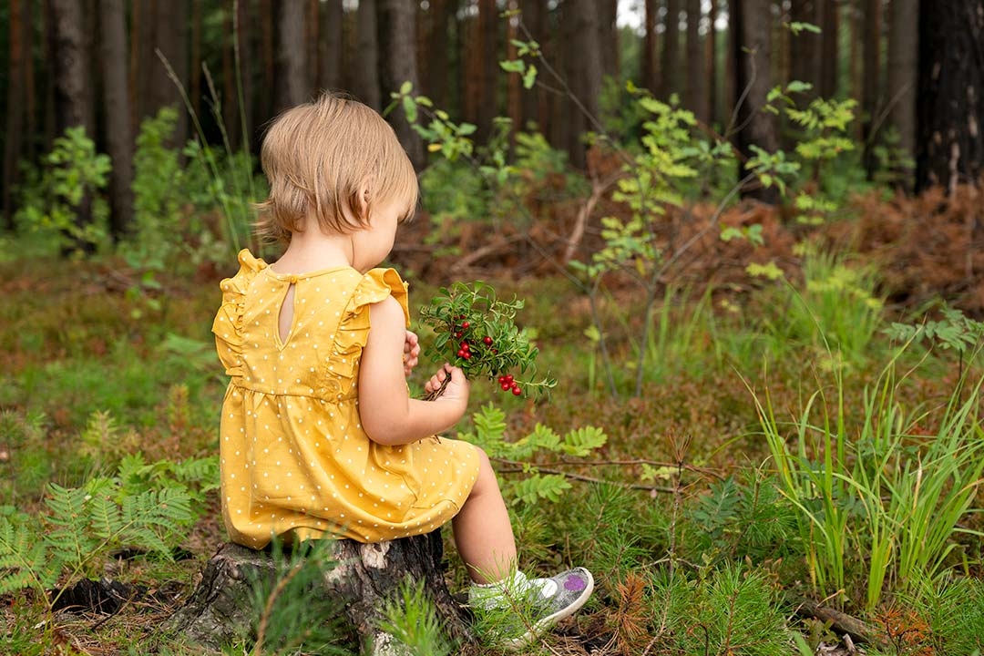 The Nature of Play