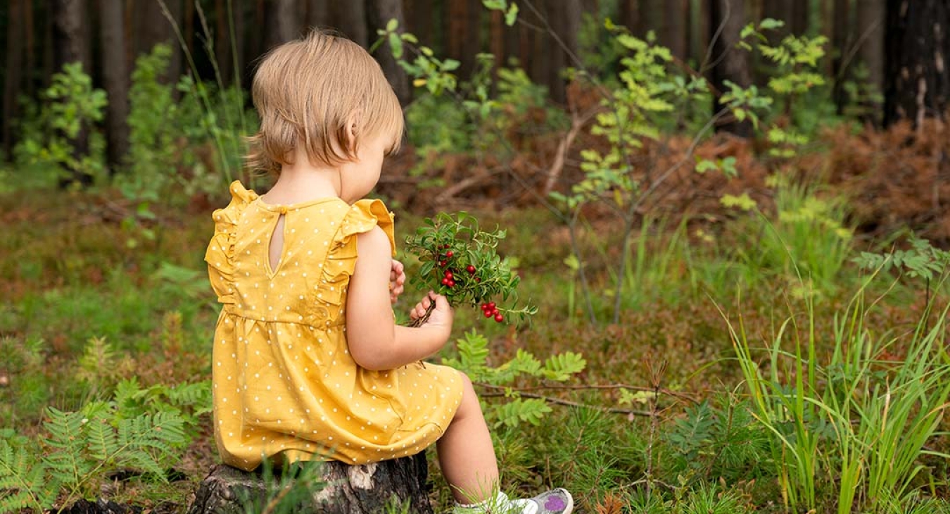 The Nature of Play