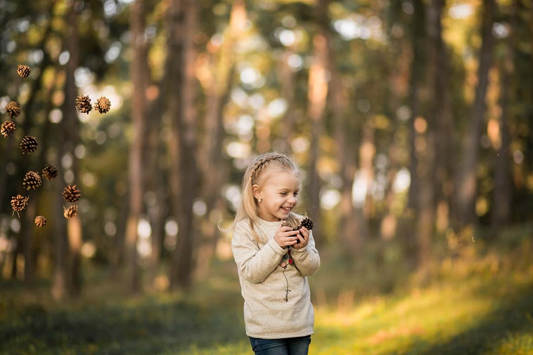 The Nature of Play