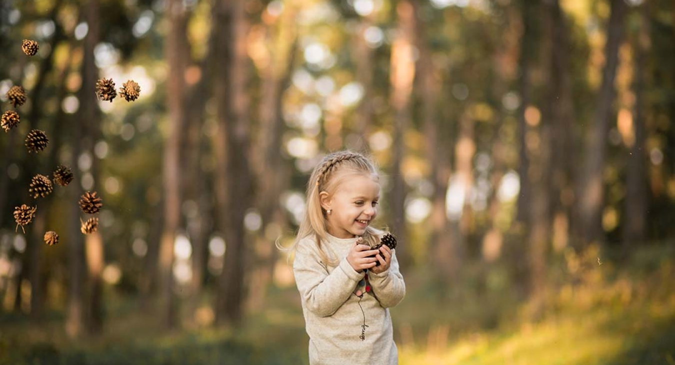 The Nature of Play