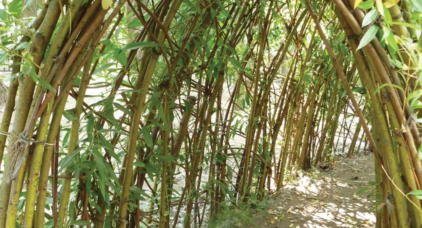 The Nature of Play