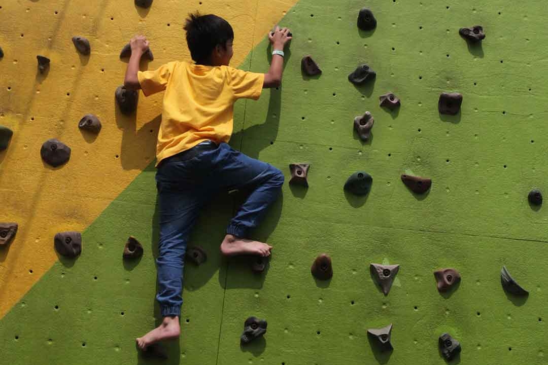 BOLDR