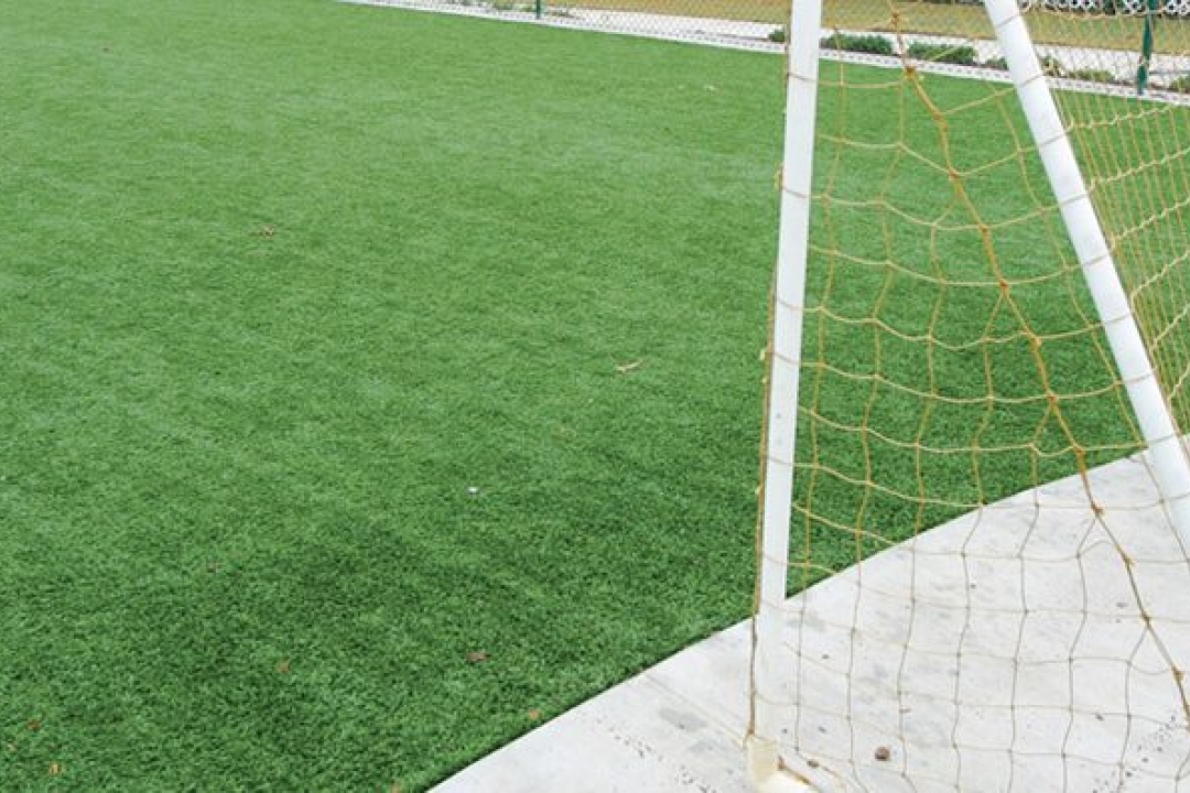  The look of natural grass with the durability of synthetic turf