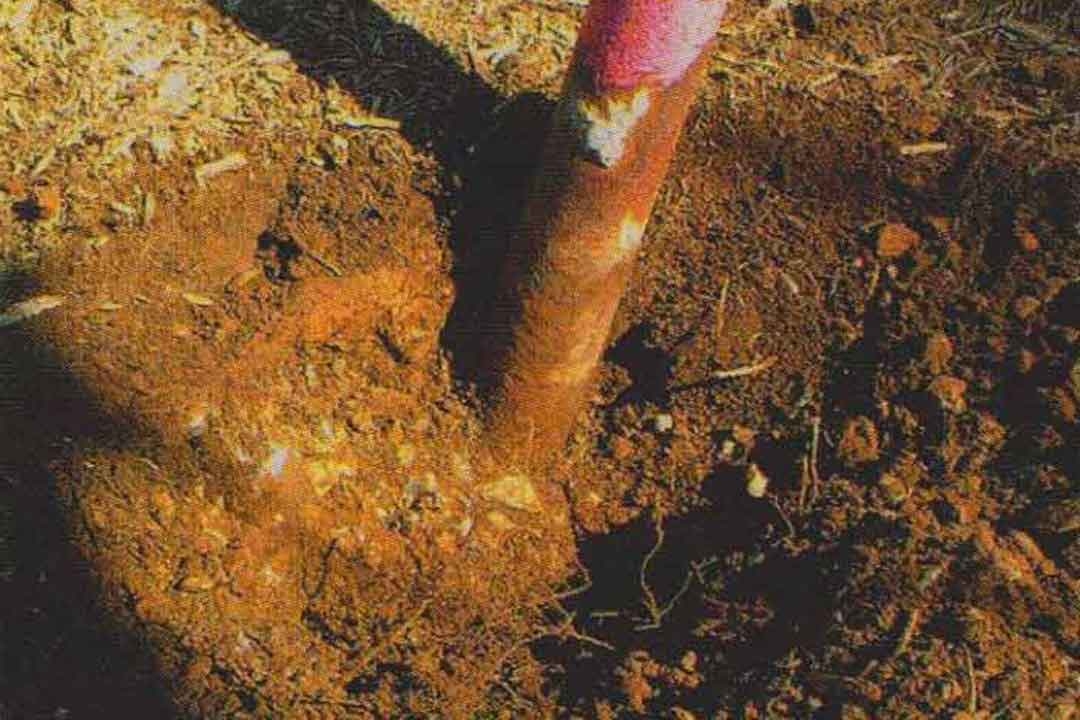 Base of a red metal playground post showing exposed corrosion and deterioration at ground level where soil has been excavated