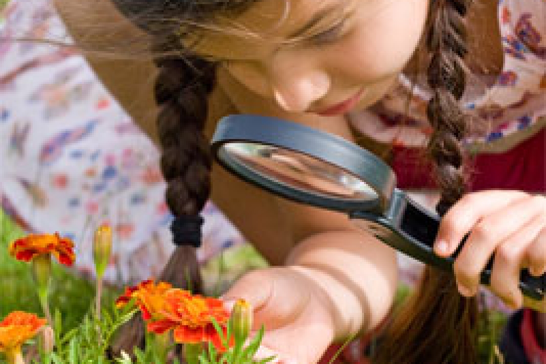 The Need for Self-Directed Play - Jay Beckwith
