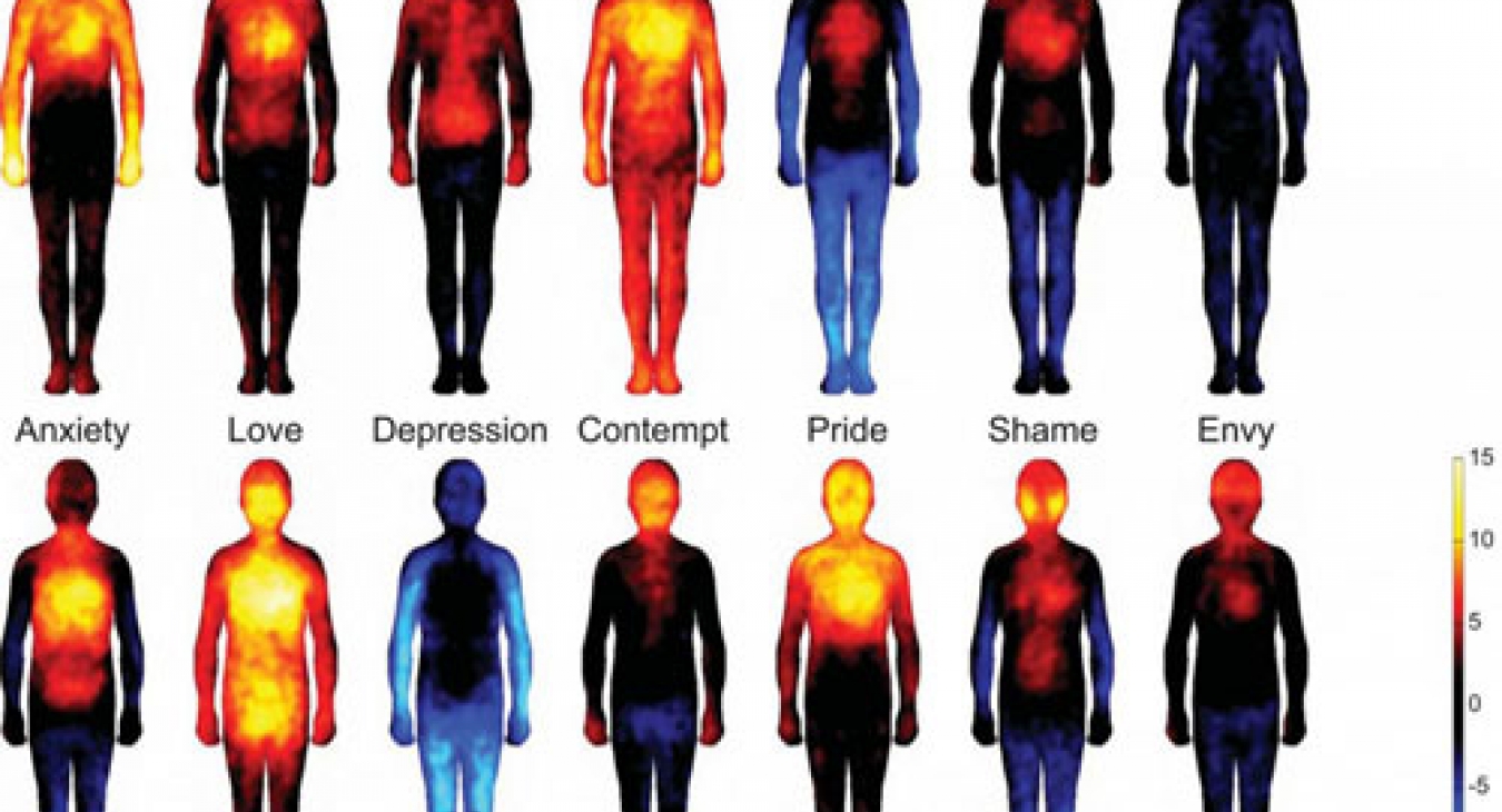 Emotions and body imaging