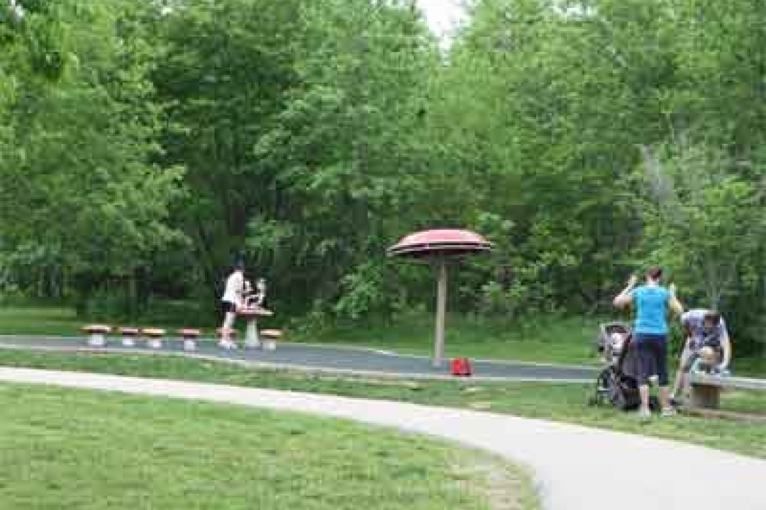 Playful pathways