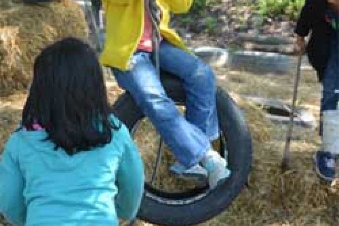 The Anarchy Zone - tire swing