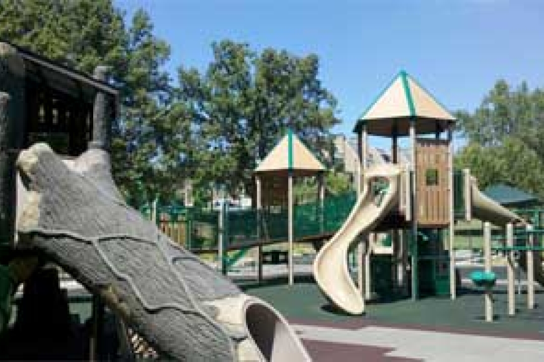 Tree Top Playground - courtesy of Mara Kaplan