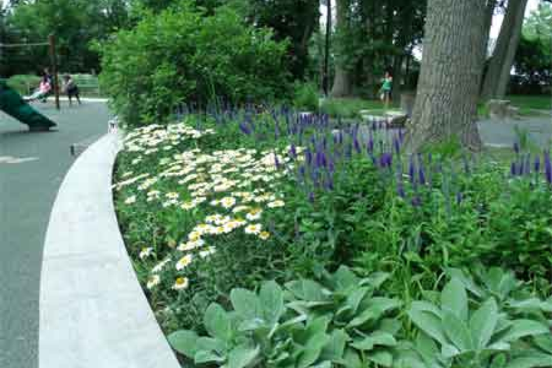 Noah's Playground for Everyone landscaping