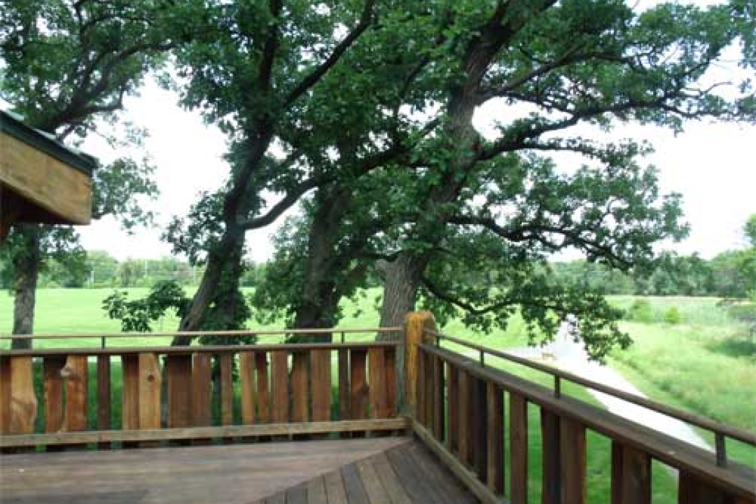 View from an accessible tree-house