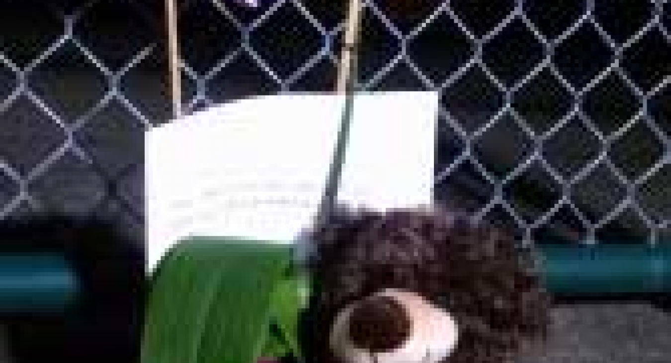 A teddy bear sits outside the chained-link fence at Fisher’s Landing Elementary School in Vancouver, Oct. 3, 2014. (KOIN 6) 