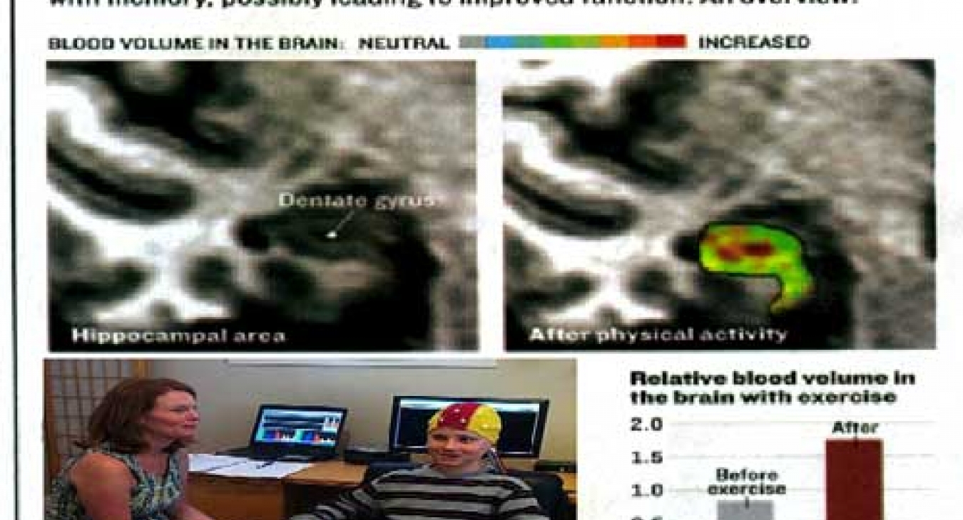 Figure 1 - How the Brain Changes with Exercise