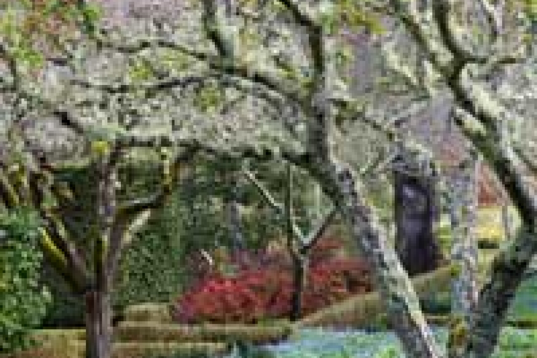 Outdoor play - via Modernize