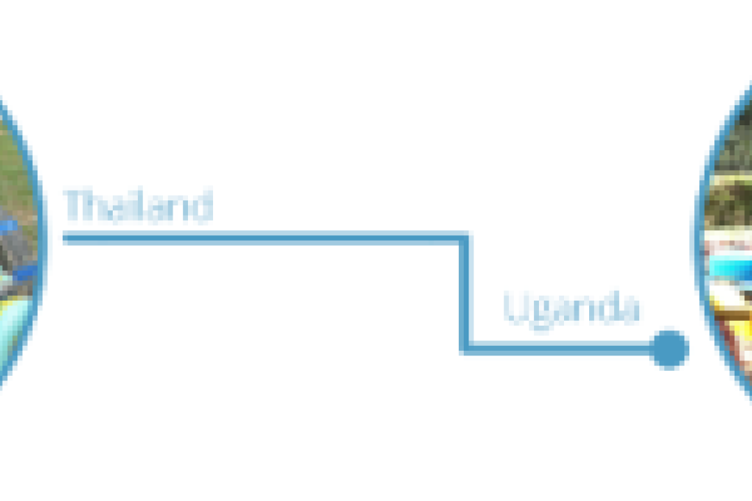 One Thousand Playgrounds