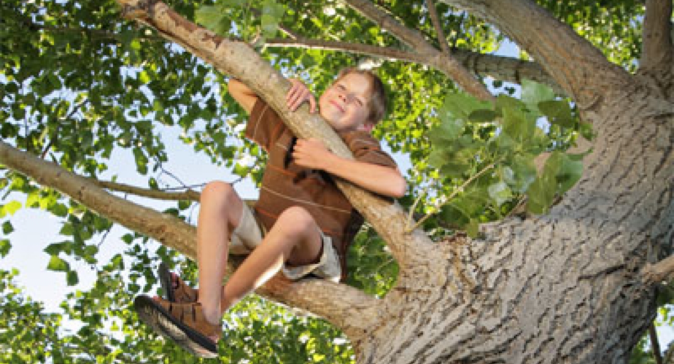 The Benefits of Risky Play - Kenneth Kutska