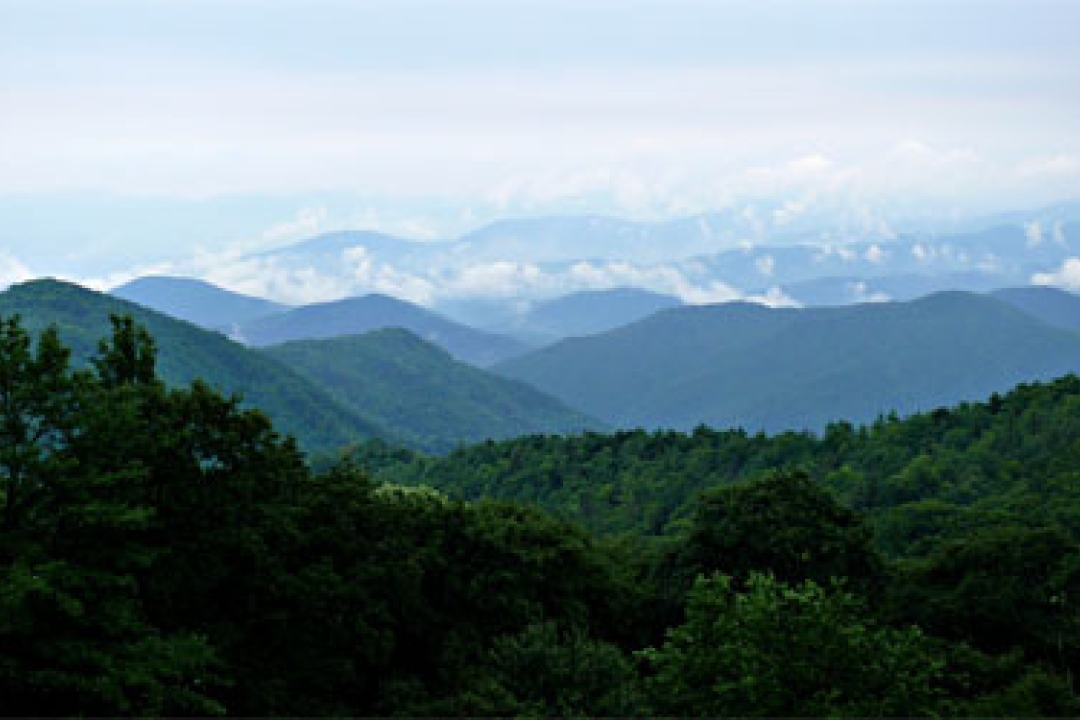An unplugged, nature-centric vacation just may make you work better!