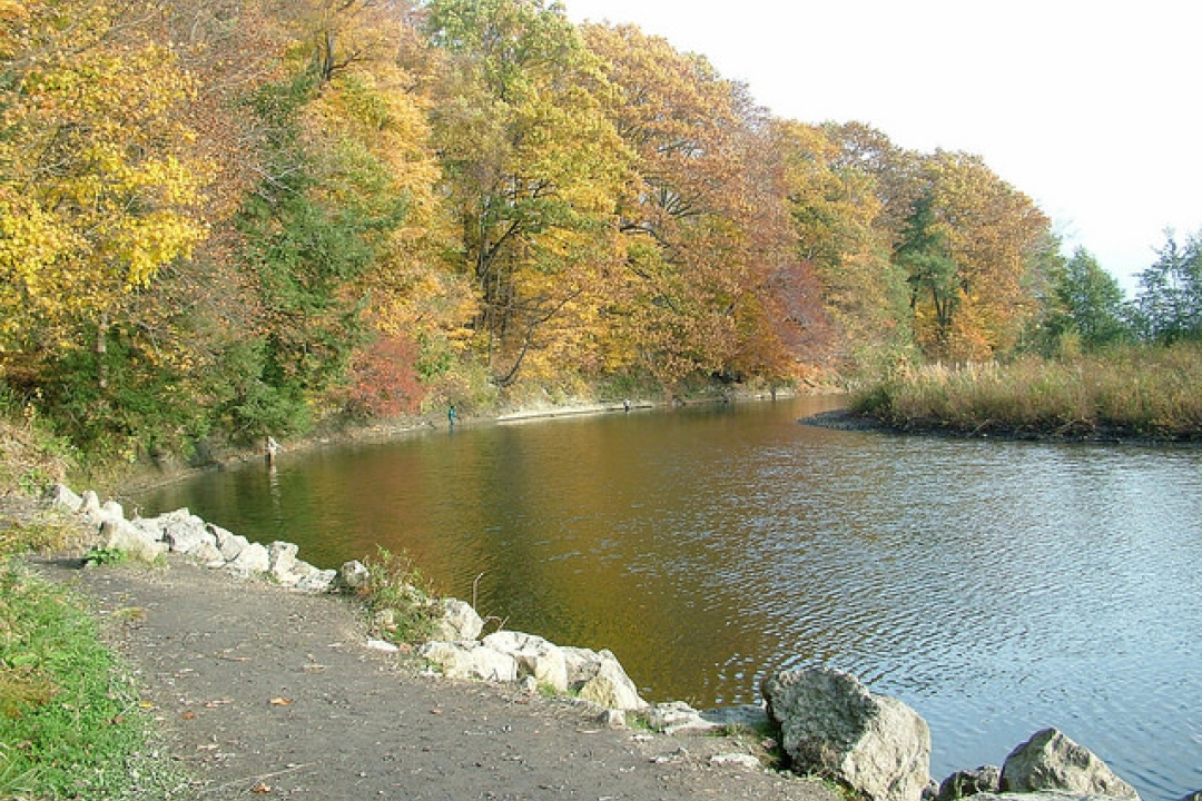 Erie Bluffs State Park