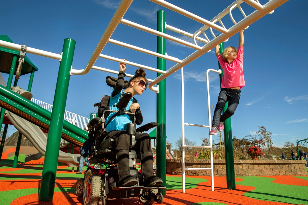 Equitable upper body climbing activities are illustrated in these side by side play elements. Close proximity is key.