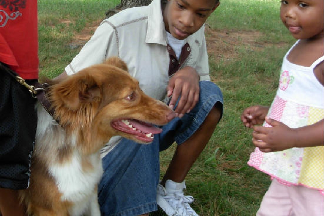 Kids gently greeting a dog