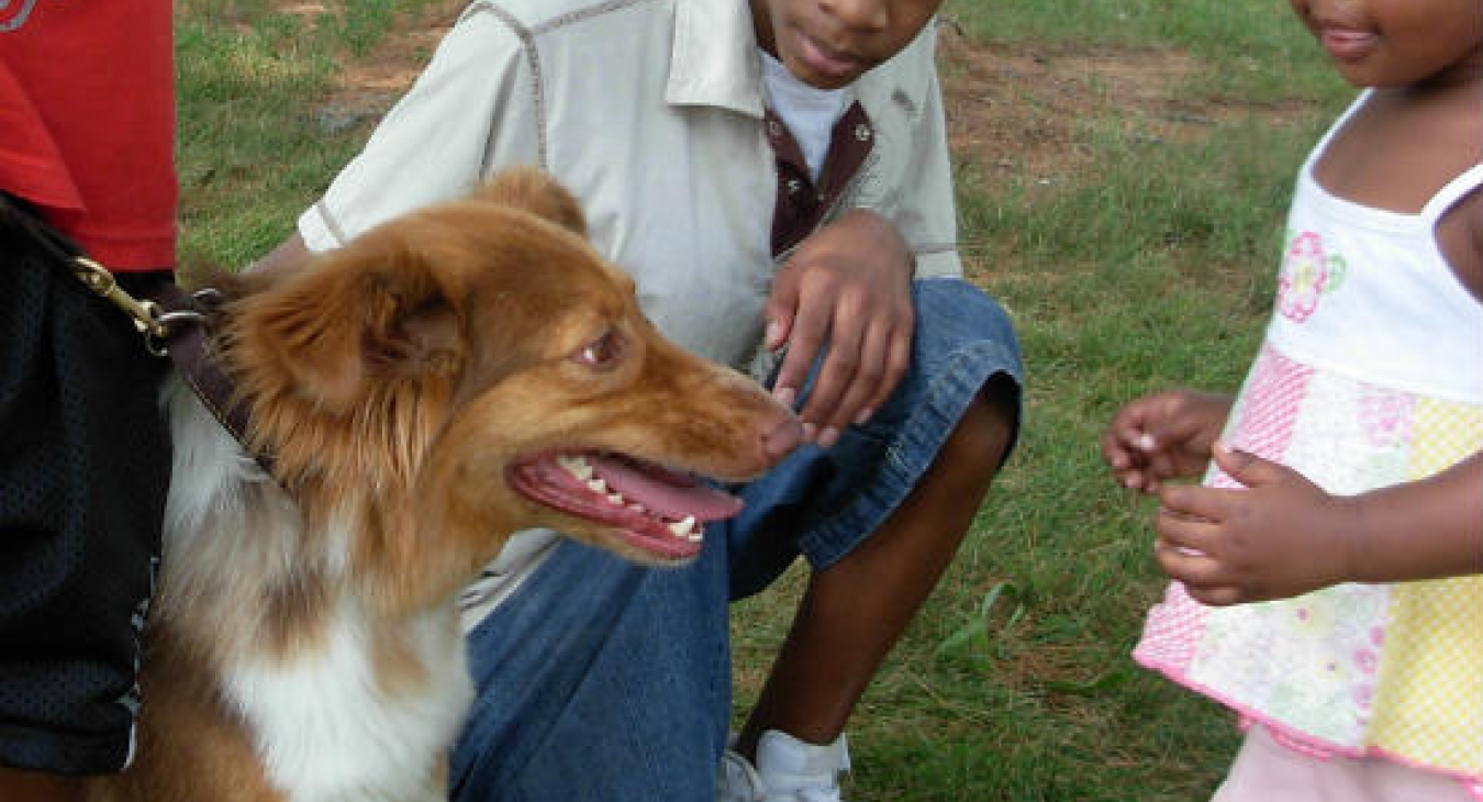 Kids gently greeting a dog