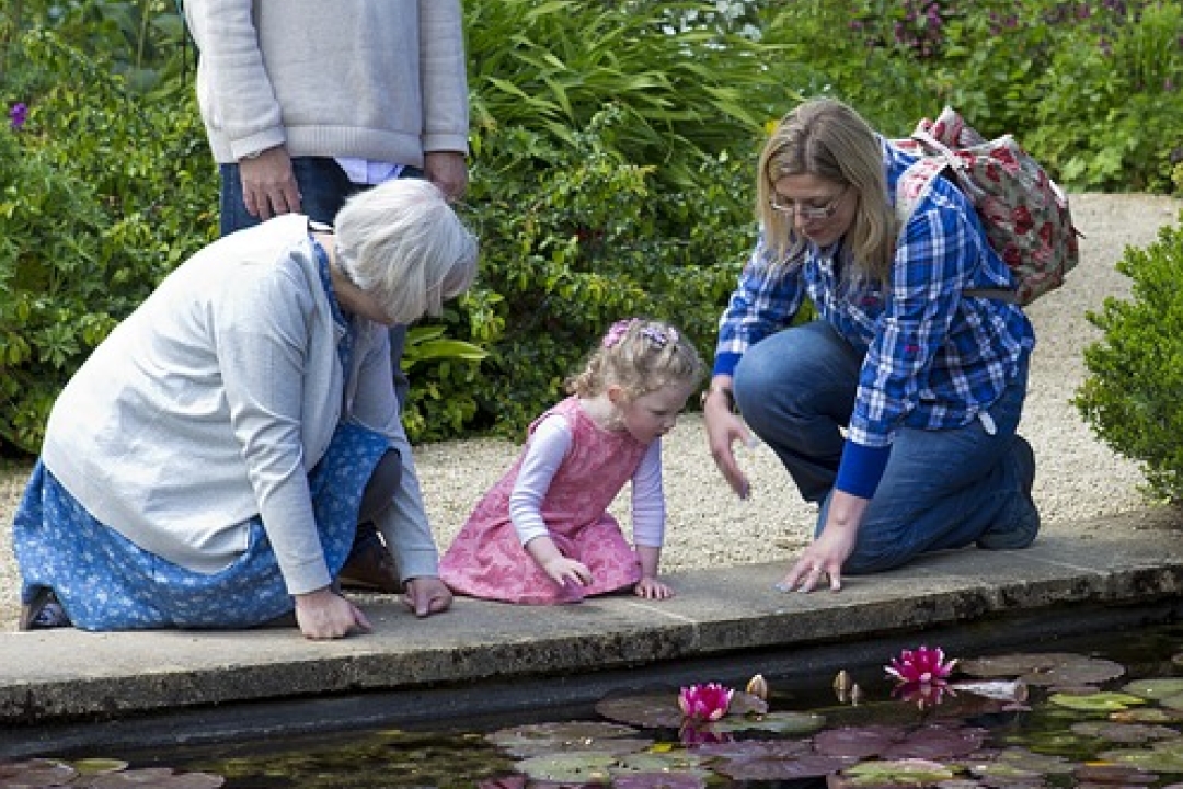 Little girl and grandparents at a lily pond