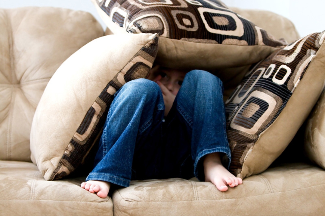Cushion Fort