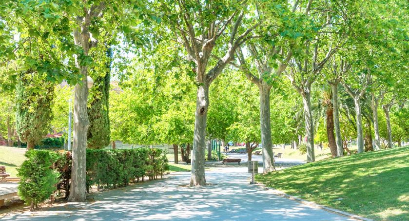 July Marks Parks and Recreation Month and UV Awareness Month