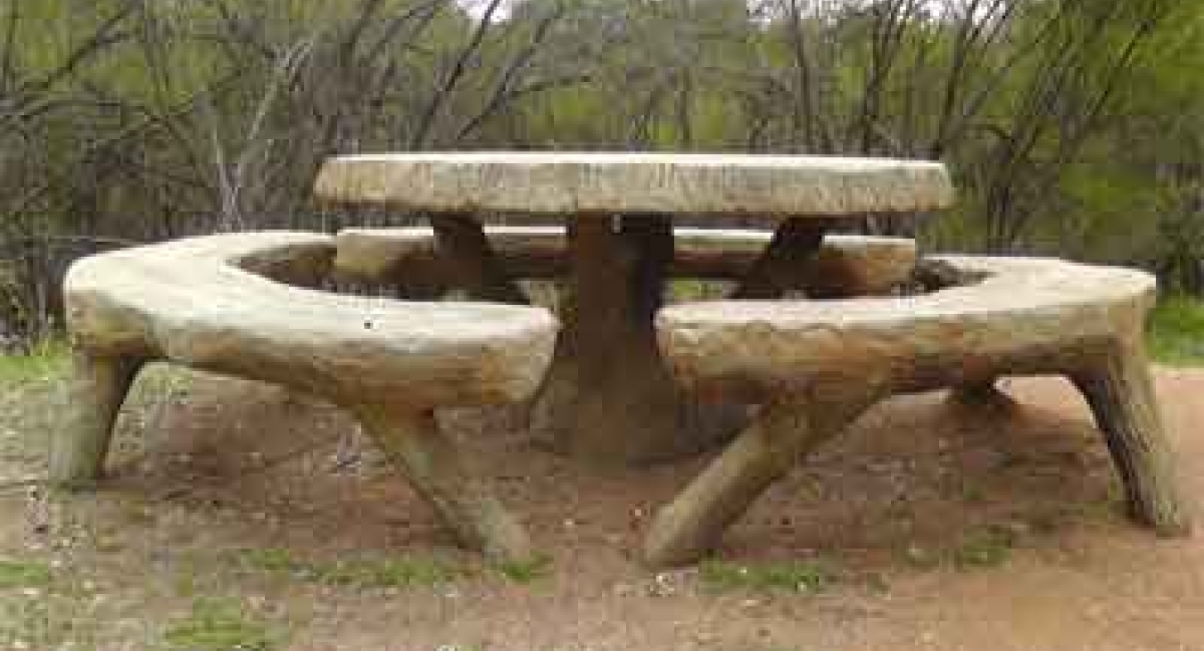 Trabajo Rustico or Rustic Work - Picnic table (Tobin Park, San Antonio)