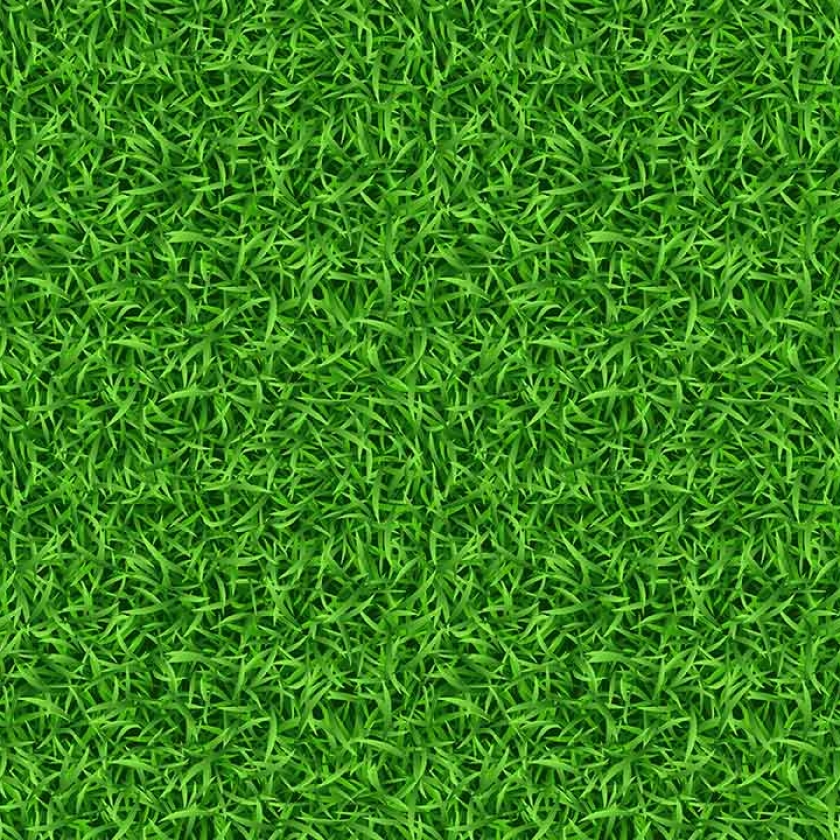 Artificial Grass Turf