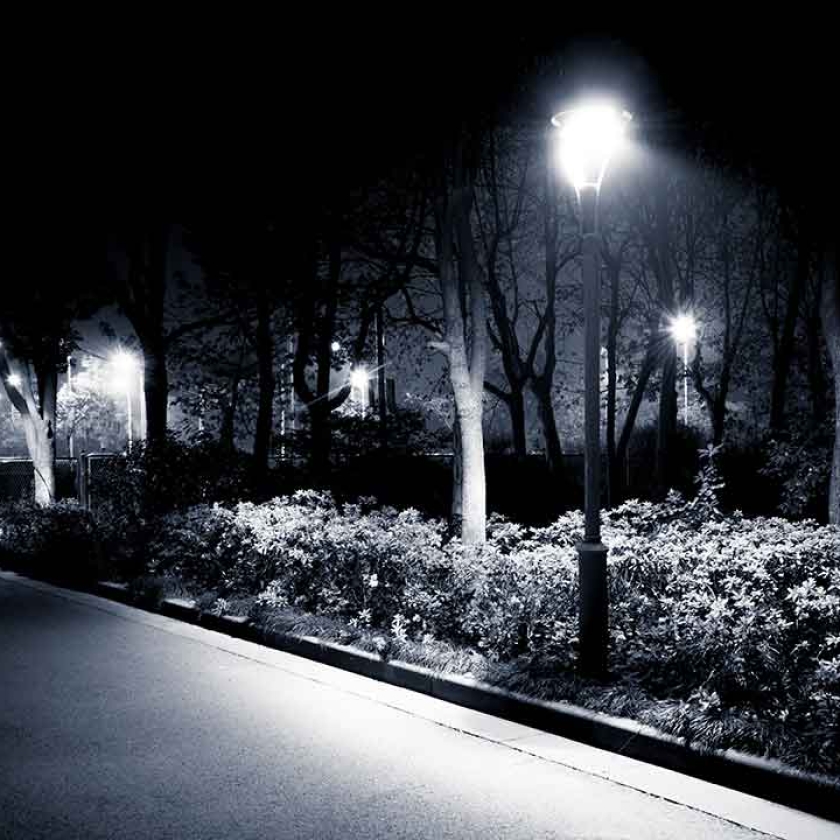 Park Lights