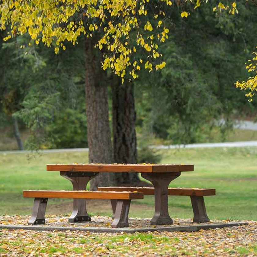 Picnic Table