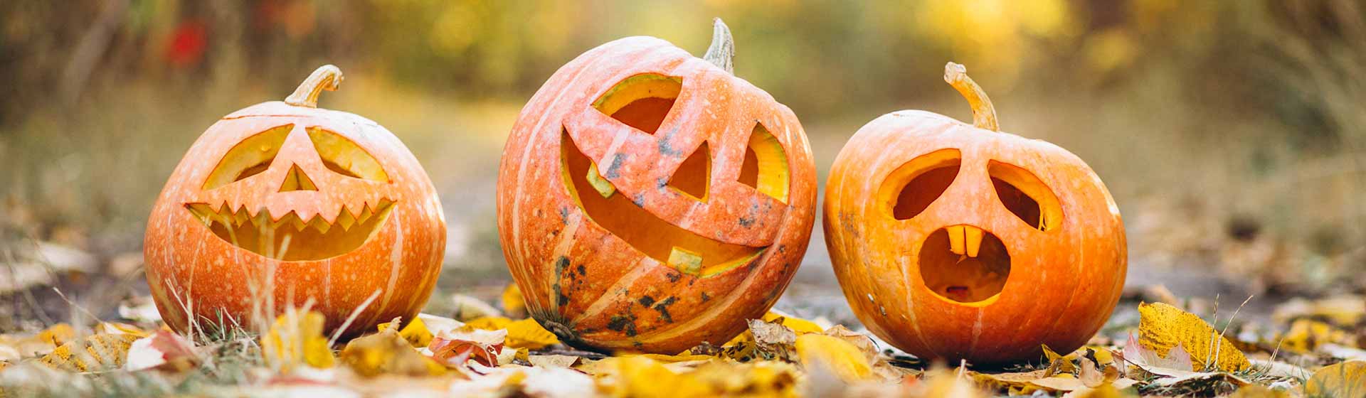 Spooky carved pumpkins