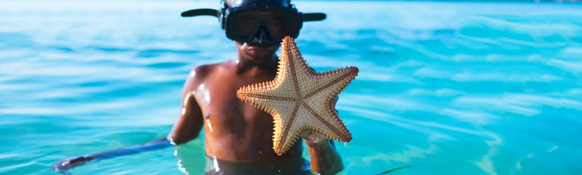 boy swimming in the ocean with a star fish