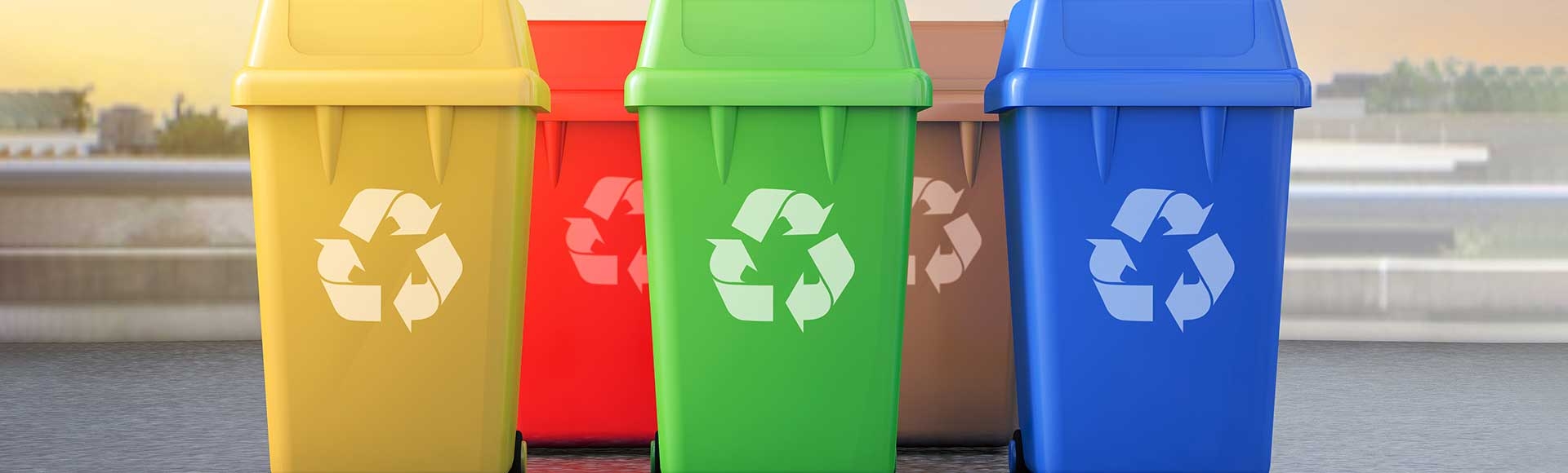 Ways To Teach Waste Management to Children