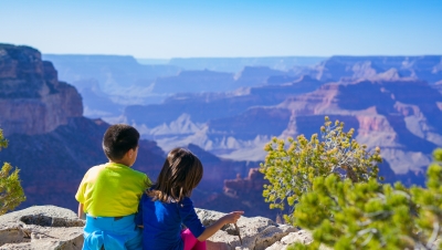 Learning About Ecological Issues (The Fun Way)