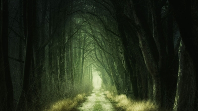 Are We Fear-Based?