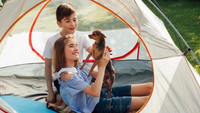 Summer Safety 101