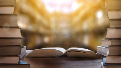 Books in a library