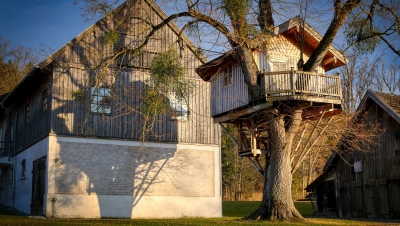 How to Build and Decorate a Treehouse