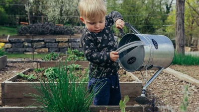 These 5 Fun Activities Will Teach Your Kids Sustainability