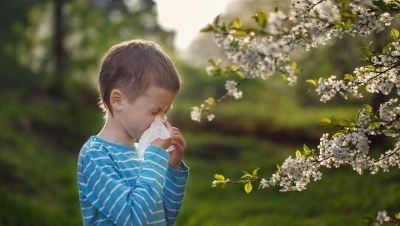How to Help Your Family Avoid Allergies This Spring