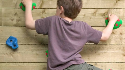 Why Children Climb