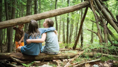 The Therapeutic Benefits of Free Play Outdoors 